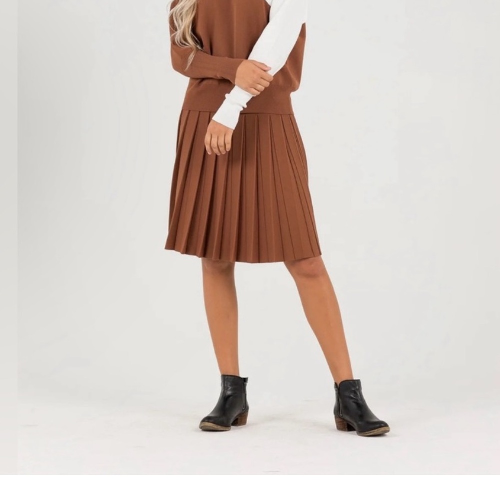 NWT ALEEZA PARIS Elegant Brown Pleated Skirt - Picture 2 of 5